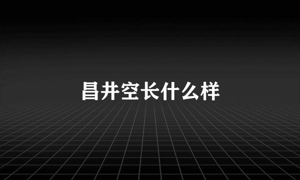 昌井空长什么样