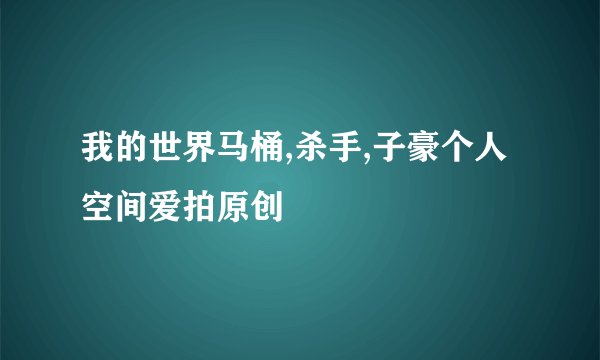 我的世界马桶,杀手,子豪个人空间爱拍原创