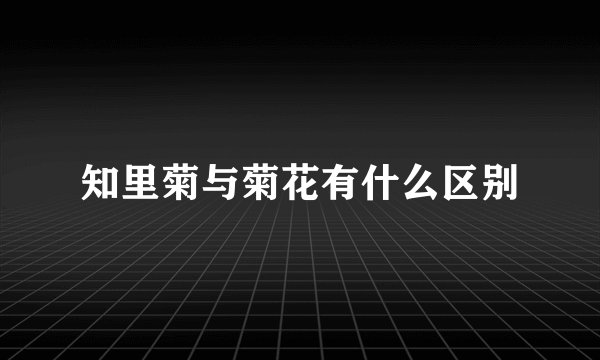 知里菊与菊花有什么区别