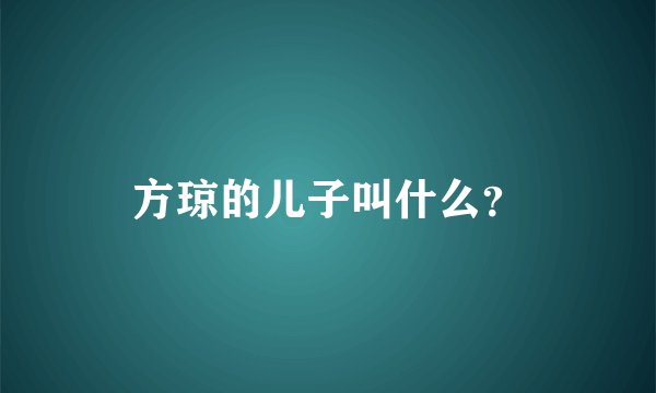 方琼的儿子叫什么？