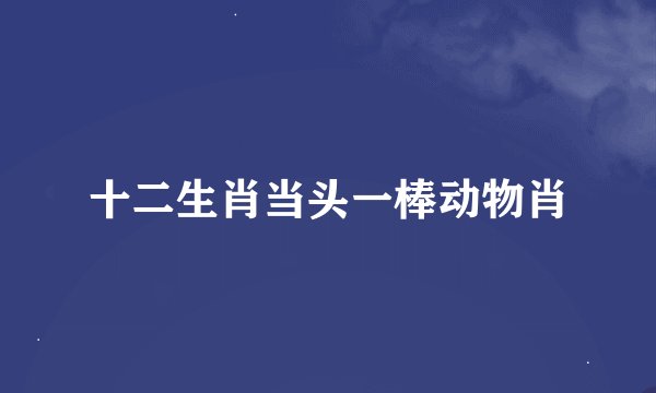 十二生肖当头一棒动物肖