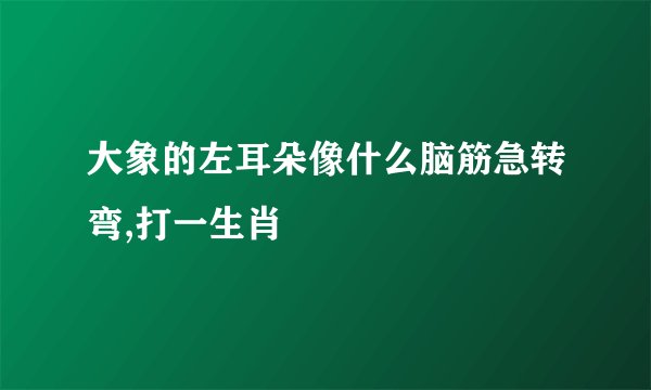 大象的左耳朵像什么脑筋急转弯,打一生肖