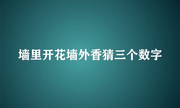 墙里开花墙外香猜三个数字