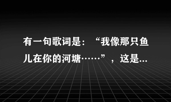 有一句歌词是：“我像那只鱼儿在你的河塘……”，这是什么歌曲？