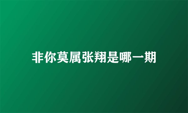 非你莫属张翔是哪一期