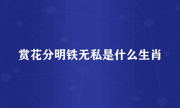 赏花分明铁无私是什么生肖