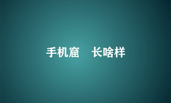 手机窟咾长啥样