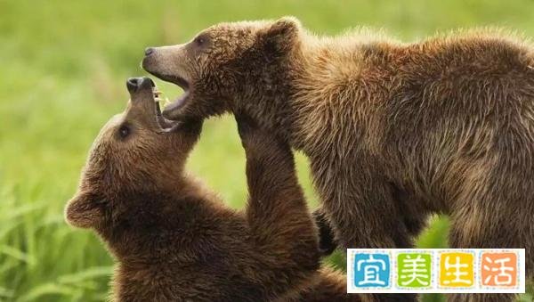 商品的价钱可以为负吗?答案是可以。