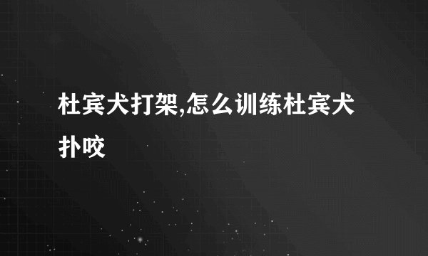 杜宾犬打架,怎么训练杜宾犬扑咬