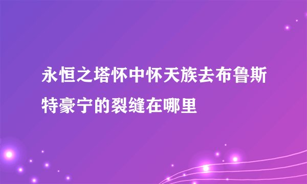 永恒之塔怀中怀天族去布鲁斯特豪宁的裂缝在哪里