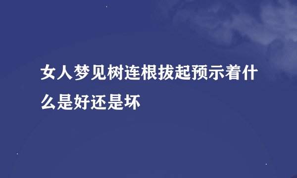 女人梦见树连根拔起预示着什么是好还是坏