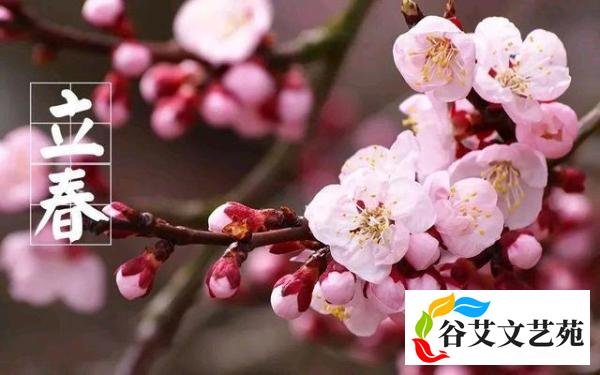 立春到了，农民认为立春是晴天好，还是雨天好？有道理吗？