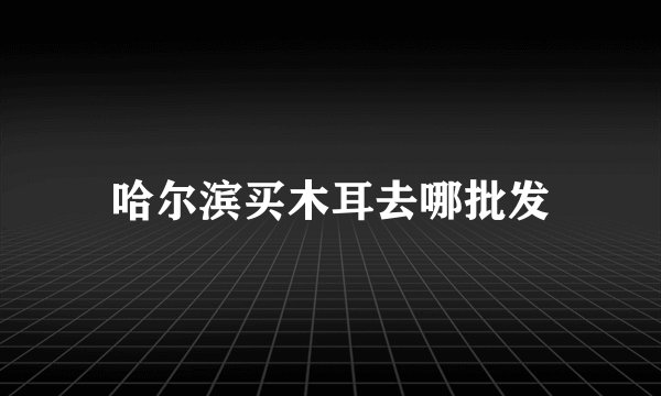 哈尔滨买木耳去哪批发