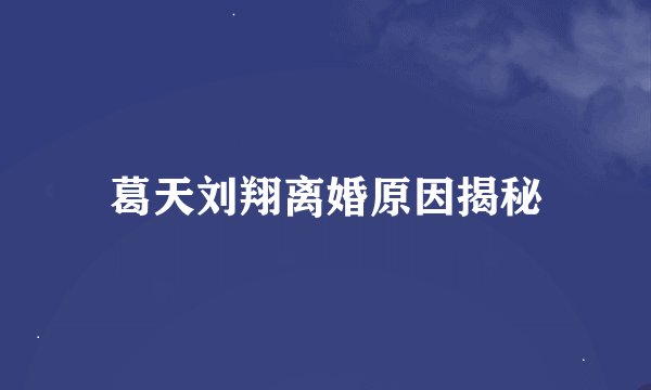 葛天刘翔离婚原因揭秘