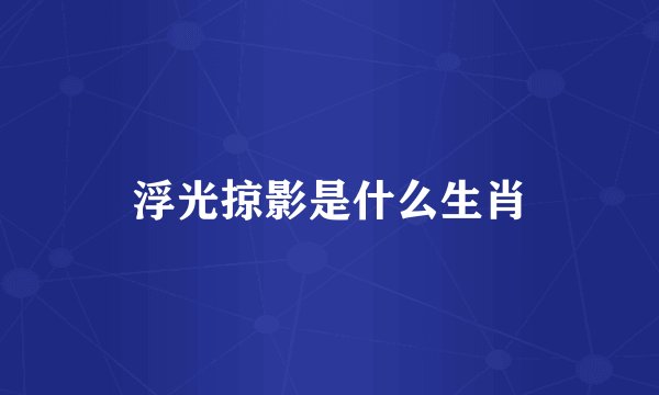 浮光掠影是什么生肖