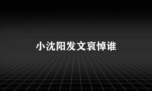 小沈阳发文哀悼谁