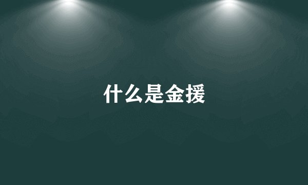 什么是金援