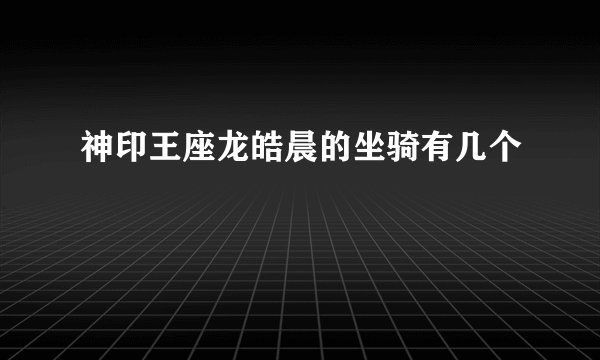 神印王座龙皓晨的坐骑有几个