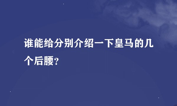 谁能给分别介绍一下皇马的几个后腰？