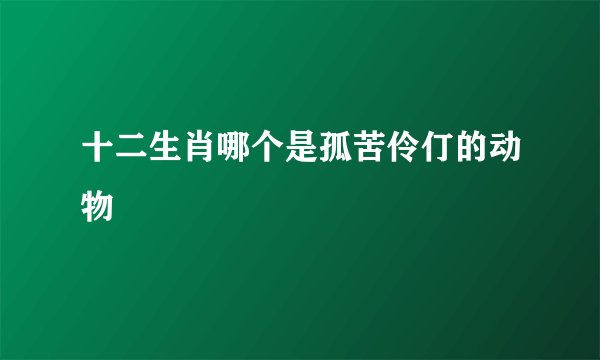 十二生肖哪个是孤苦伶仃的动物