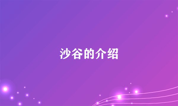 沙谷的介绍