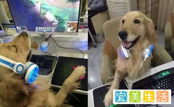 LOL定位赛10连胜定位白银二？定位赛首日大分析！