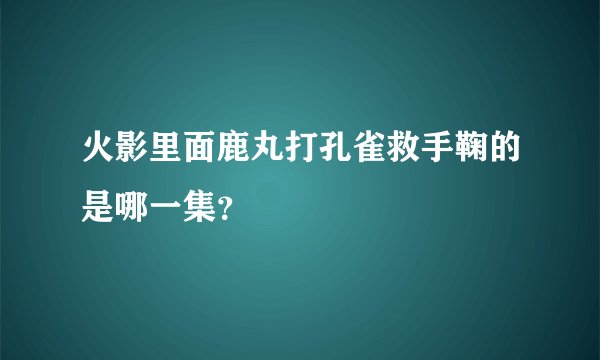 火影里面鹿丸打孔雀救手鞠的是哪一集？