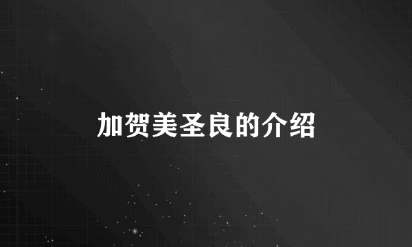 加贺美圣良的介绍