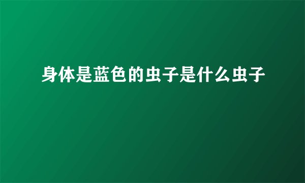 身体是蓝色的虫子是什么虫子
