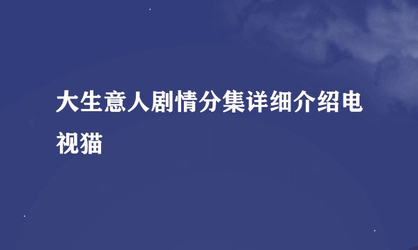 大生意人剧情分集详细介绍电视猫