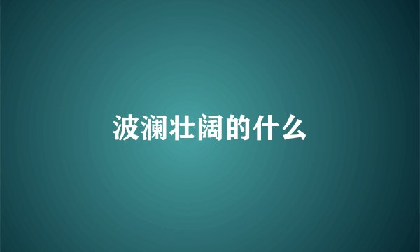 波澜壮阔的什么
