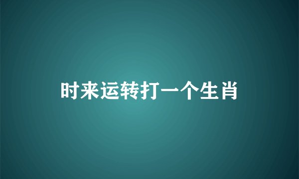 时来运转打一个生肖