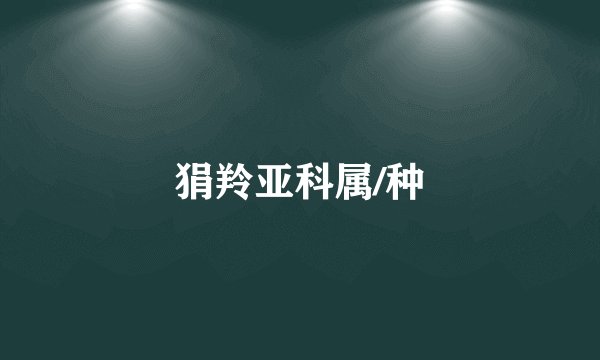 狷羚亚科属/种