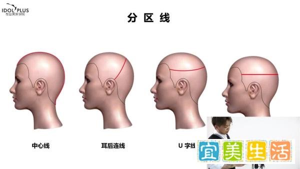 美发师从零开始学剪发，点线面认识之划分线