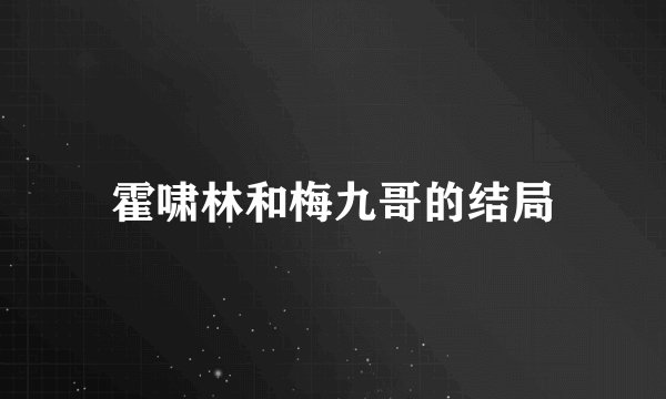 霍啸林和梅九哥的结局