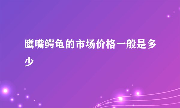 鹰嘴鳄龟的市场价格一般是多少