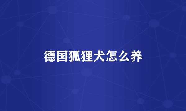 德国狐狸犬怎么养