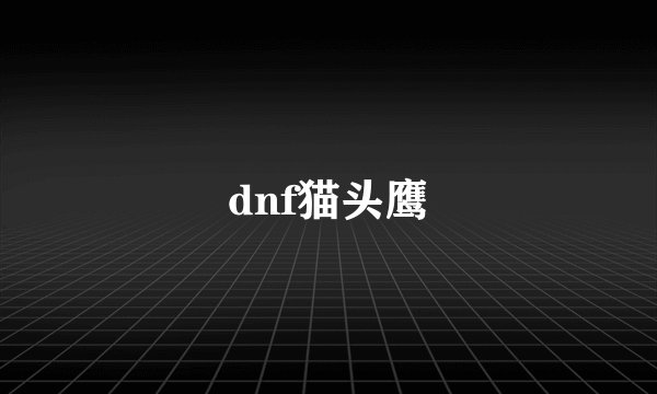dnf猫头鹰