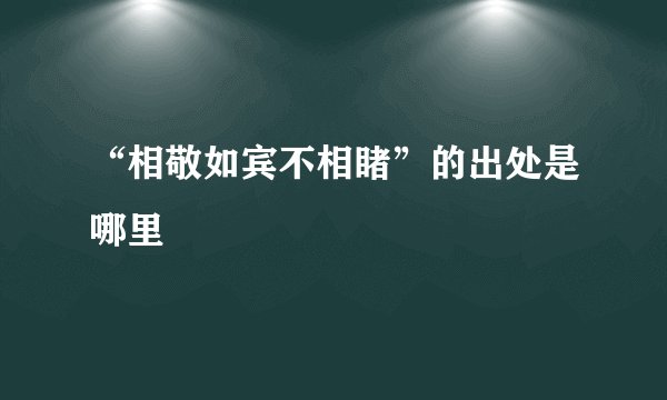“相敬如宾不相睹”的出处是哪里