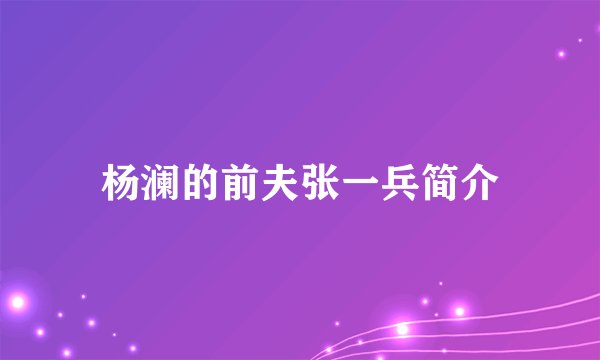 杨澜的前夫张一兵简介