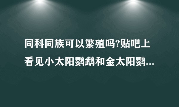 同科同族可以繁殖吗?贴吧上看见小太阳鹦鹉和金太阳鹦鹉交配了并且产蛋，能不能繁殖出来。他们同族，都
