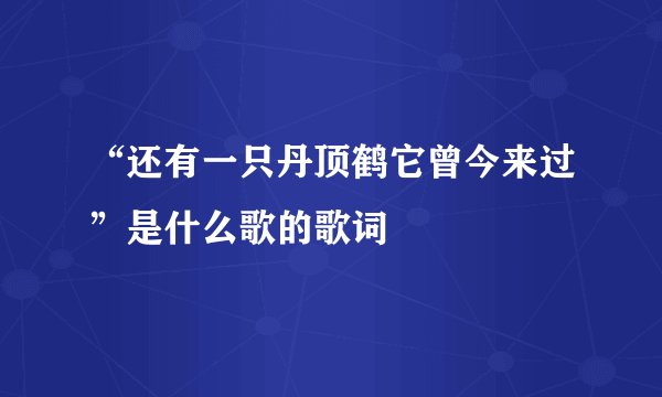 “还有一只丹顶鹤它曾今来过”是什么歌的歌词