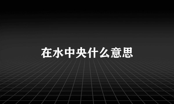在水中央什么意思