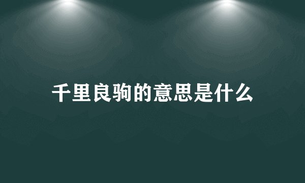 千里良驹的意思是什么
