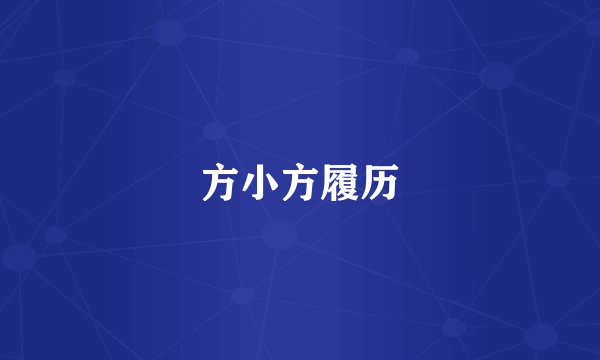 方小方履历
