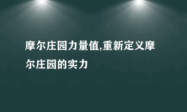 摩尔庄园力量值,重新定义摩尔庄园的实力