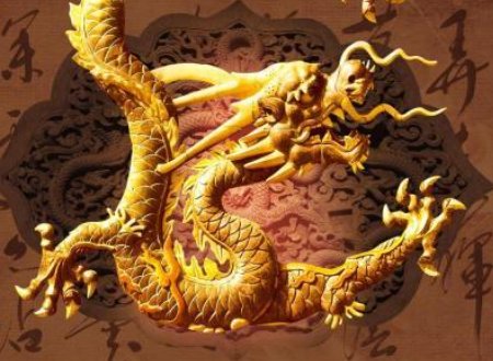 如何分辨九爪金龙和五爪金龙啊？