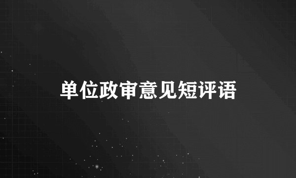 单位政审意见短评语