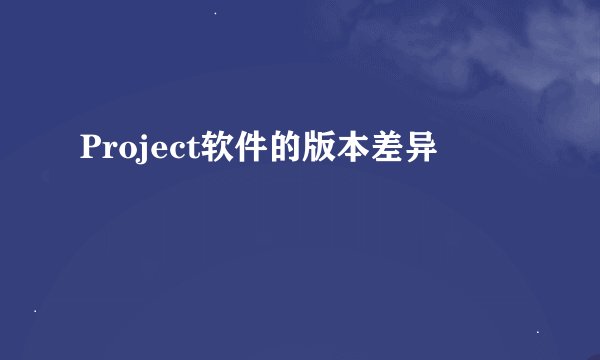 Project软件的版本差异