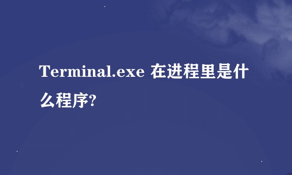 Terminal.exe 在进程里是什么程序?